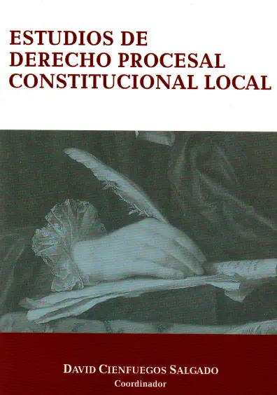 Estudios de derecho procesal, constitucional local