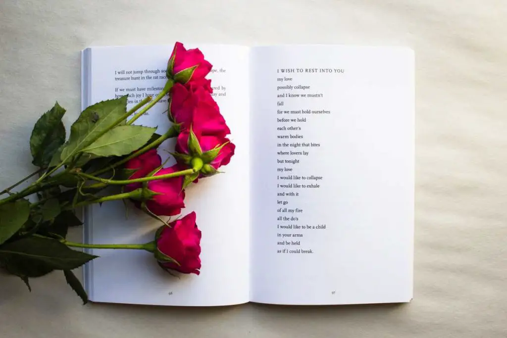 Frases de poesía repletas de amor